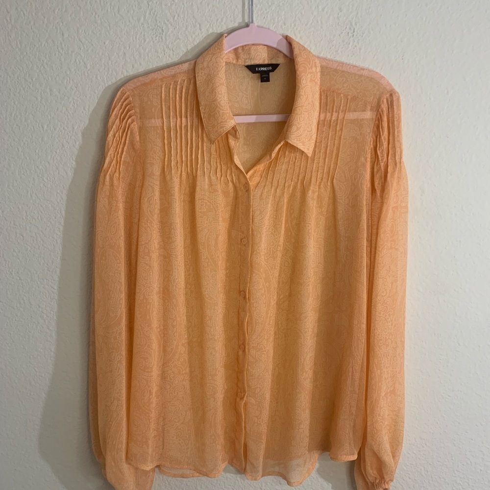Express pastel oversized sheer long sleeve sheer button down blouse XL workwear